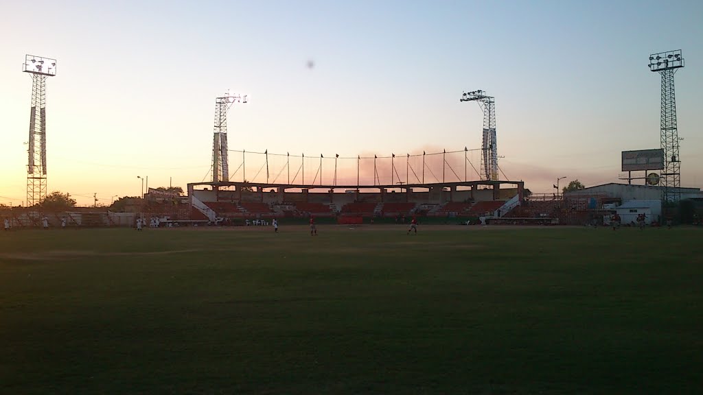 Vista del jardin central Estadio Andres Mena Montijo 2013