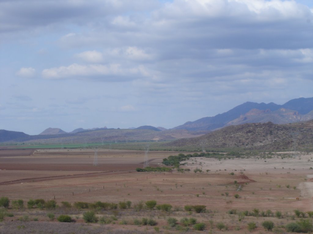 Deforestación