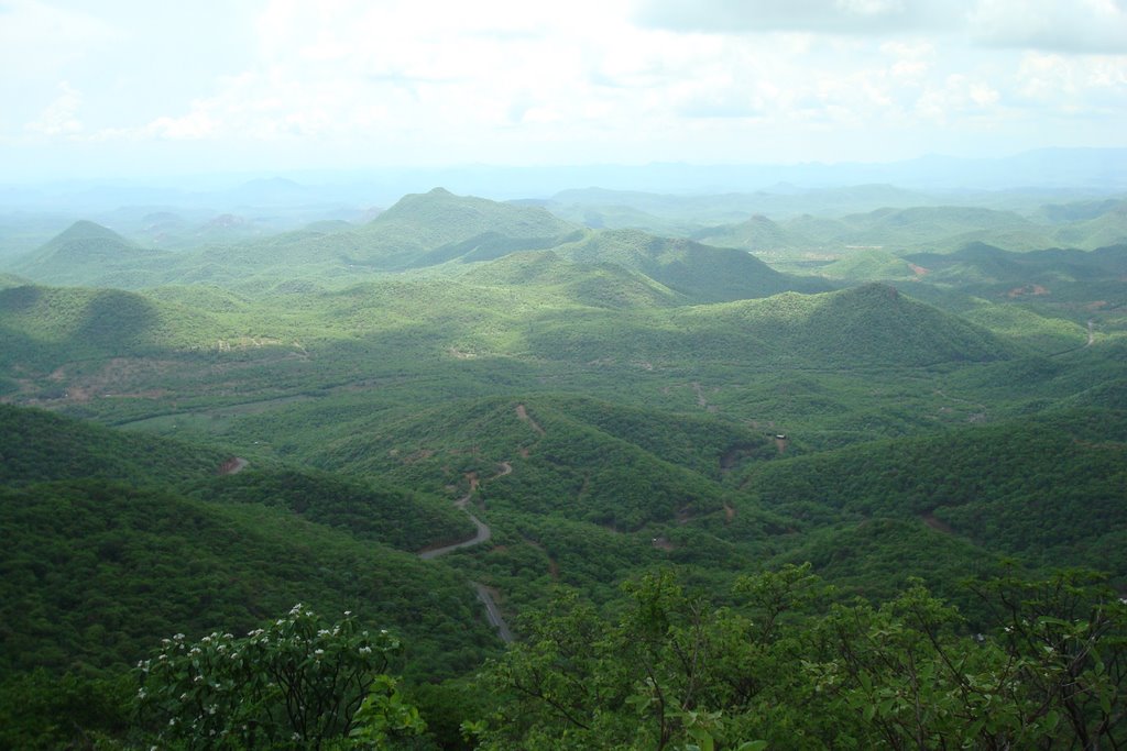 Valle de Tecoripa desde la sierra San Javier