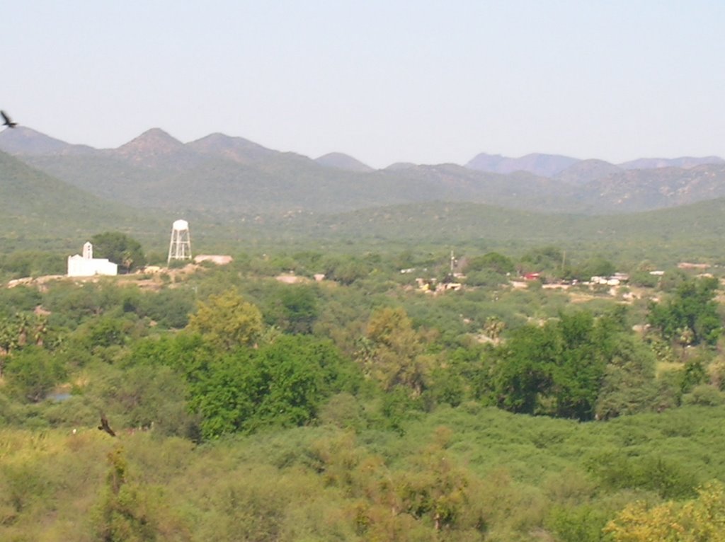 Hidalgo