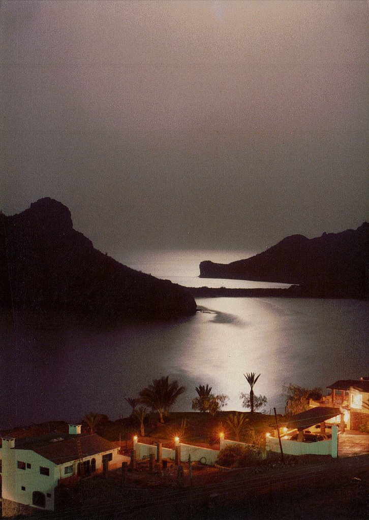 Bahia San Carlos. 1981