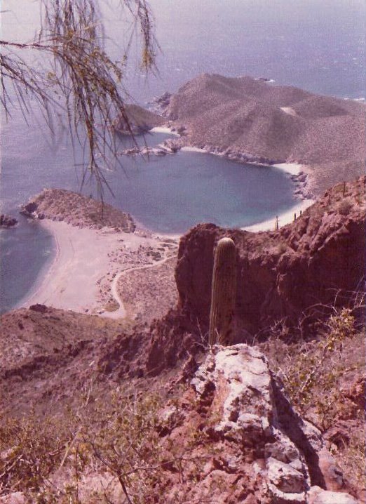 TOP.¨Teta Kawi¨, Bahía San Carlos, Sonora. México. 1982