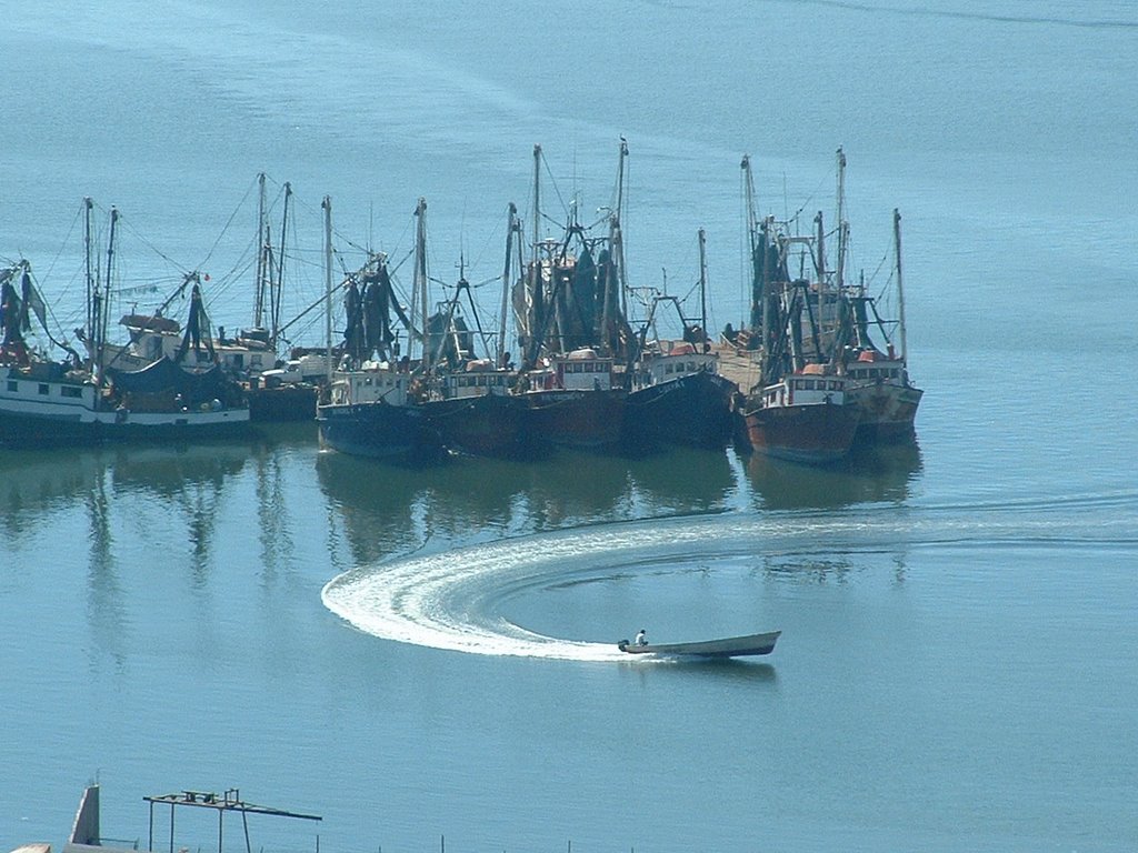 Lancha en la Bahía