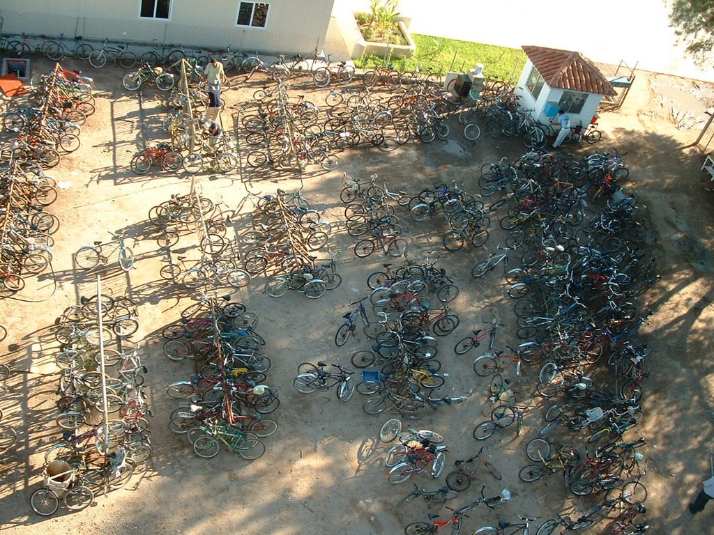 Bicicletas Maquileras