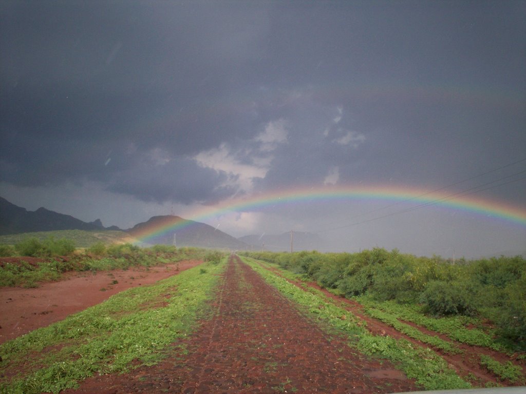 entrada a yucuribampo, sonora.