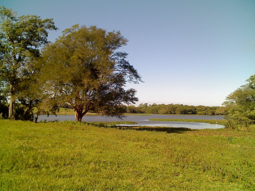Laguna