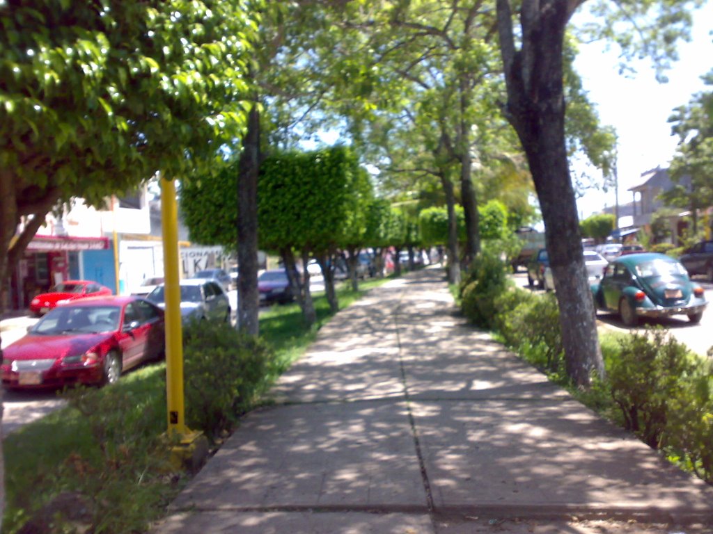 Andador del boulevard carlos pellicer