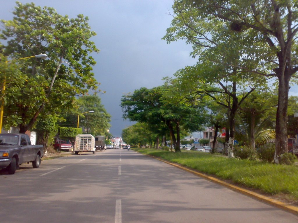 Boulevard Carlos Pellicer