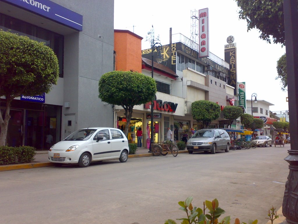Avenida Reforma, Zona Comercial Macuspana