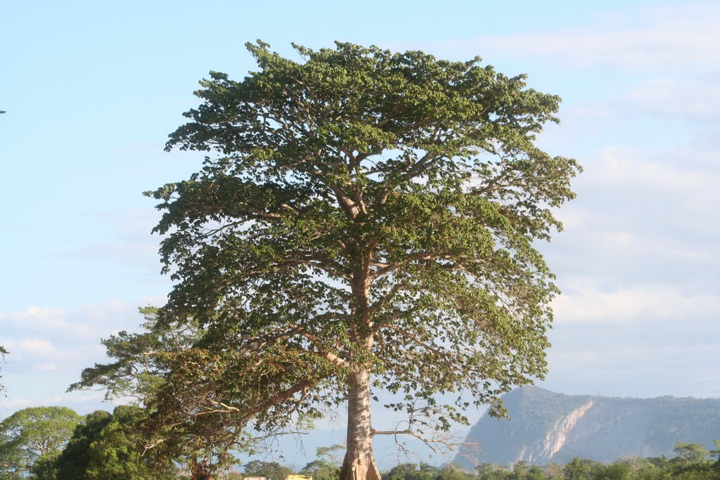 Vista desde Siglo XXI