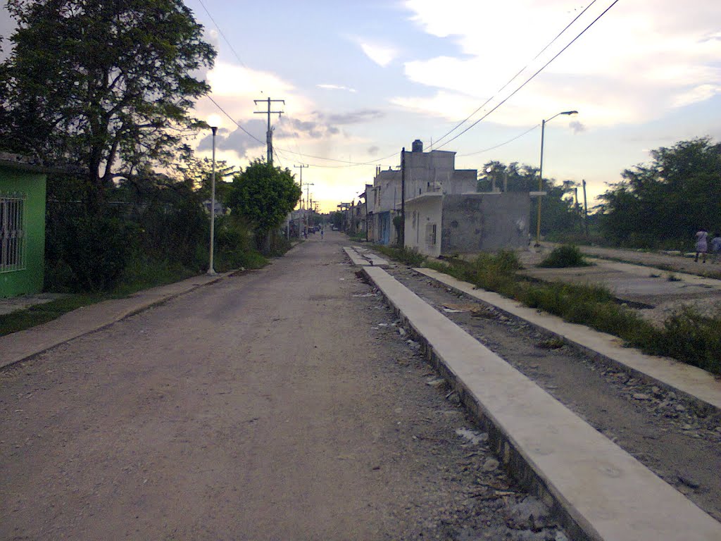 Calle Prol Agustin Diaz del Castillo x la Col Los Gatos