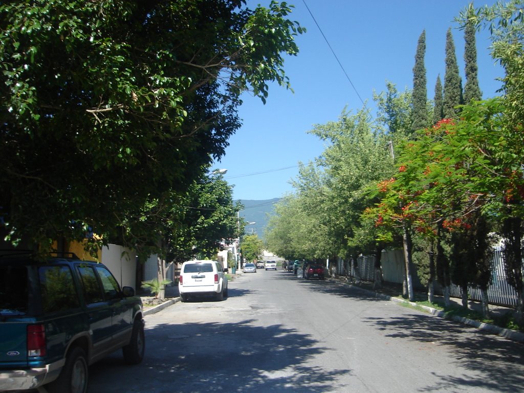 vista de la calle
