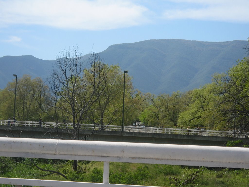 Rio San Marcos, desde el puente vehicular de la calle 8