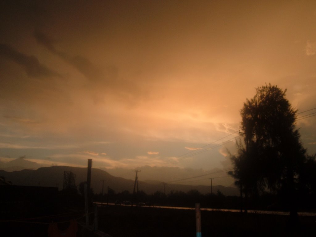 ATARDECER EN VICKY RANCH2