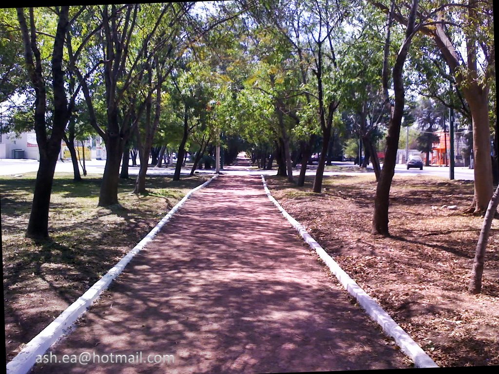 Boulevard Fidel Velazquez