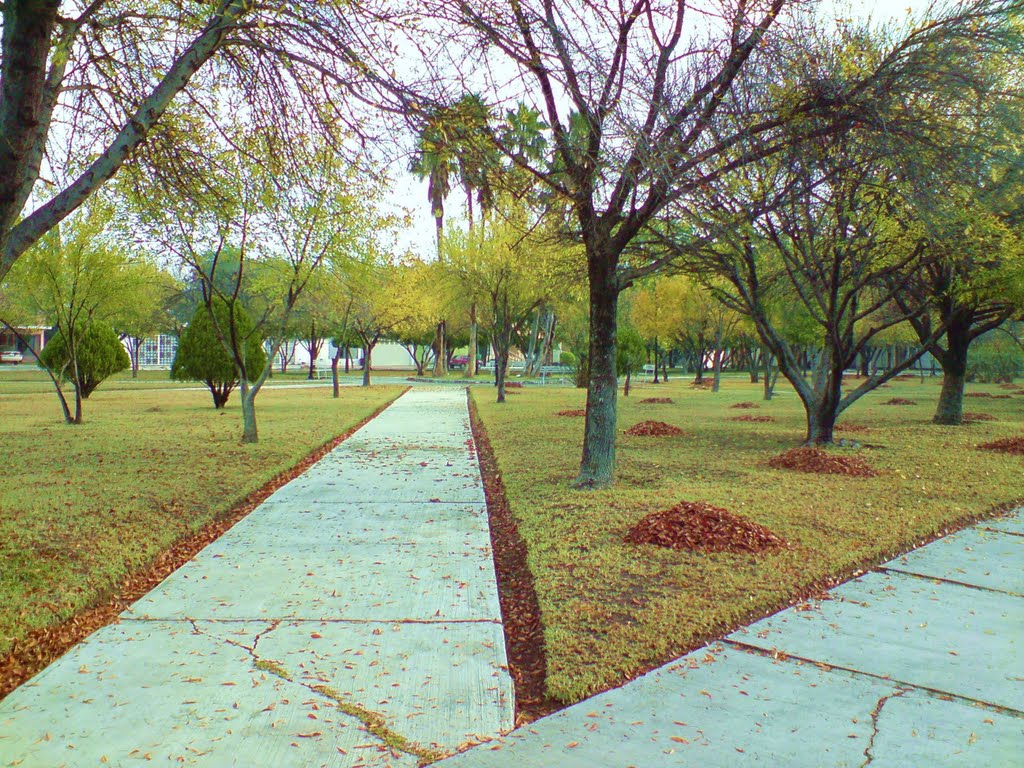 Plaza de la iglesia El buen Pastor
