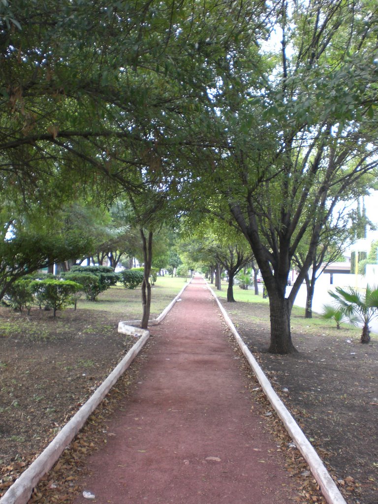 Camellon