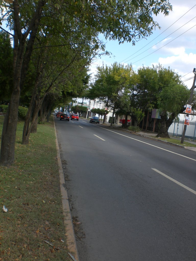 Calle