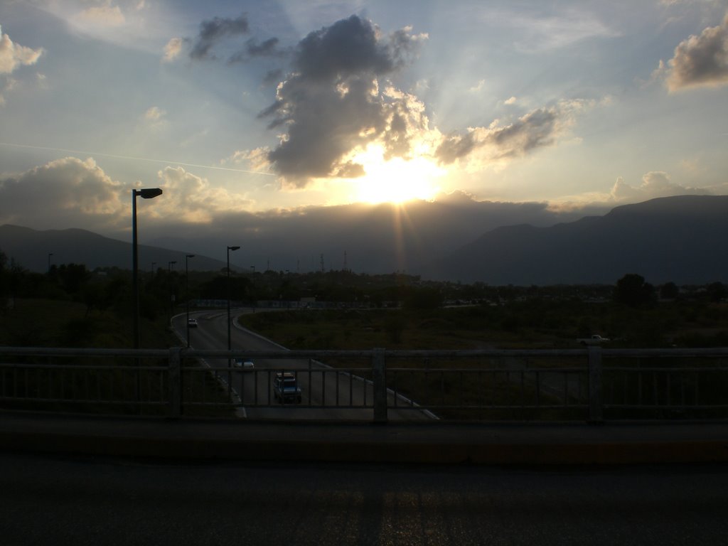 Desde el puente