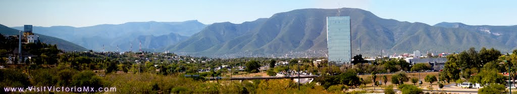 Desde el Jardín Botánico Anacahuita