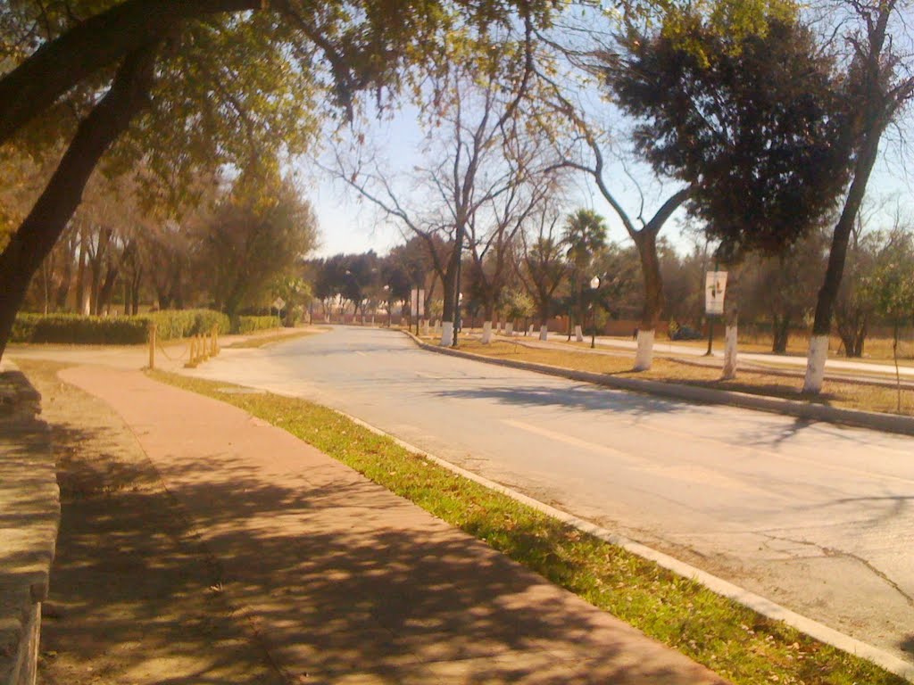 Paseo Colon