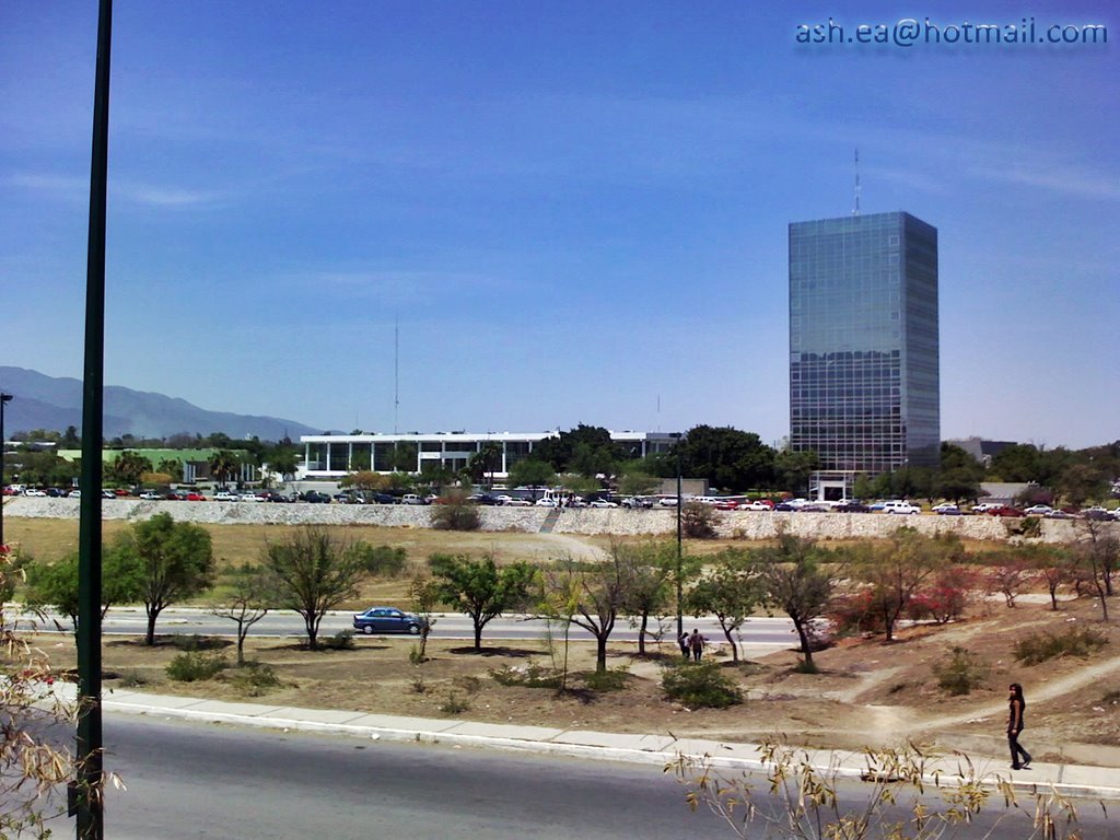 Torre de Gobierno