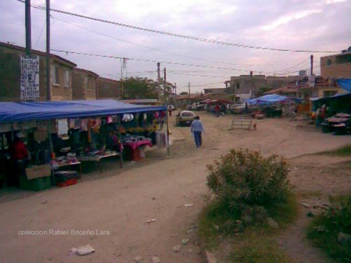 Laguna del Chairel y Circuito Tamaulipeco col. Miramapolis