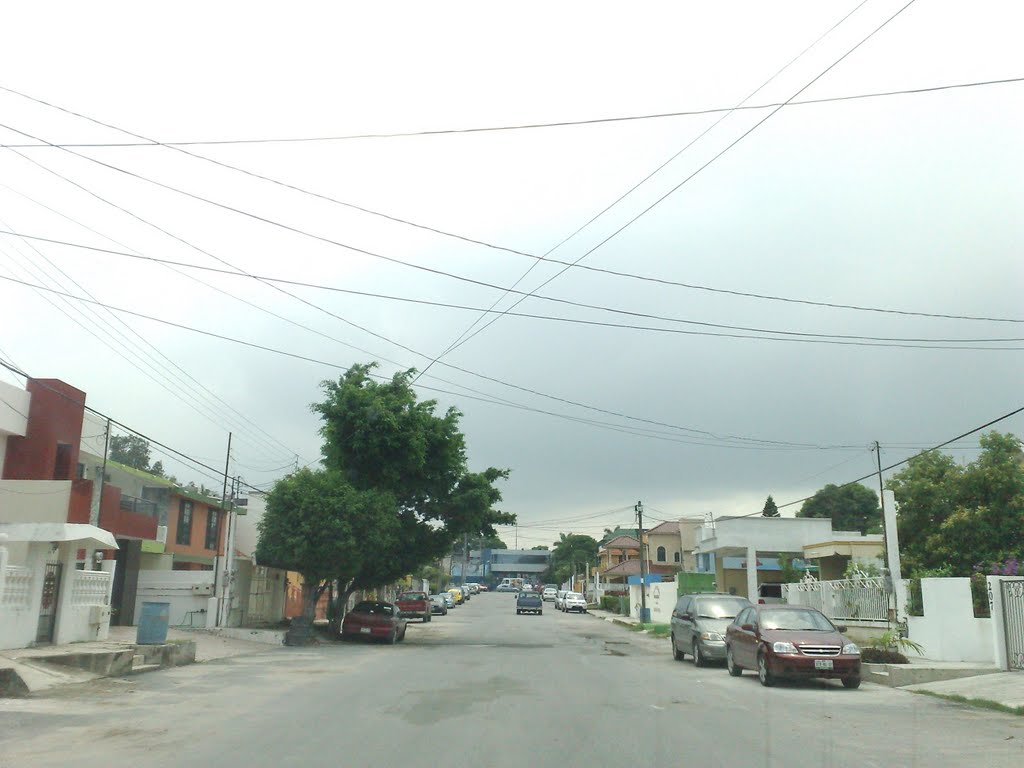 Calle Morelos