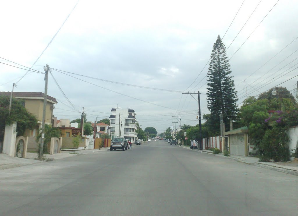 Calle Chiapas