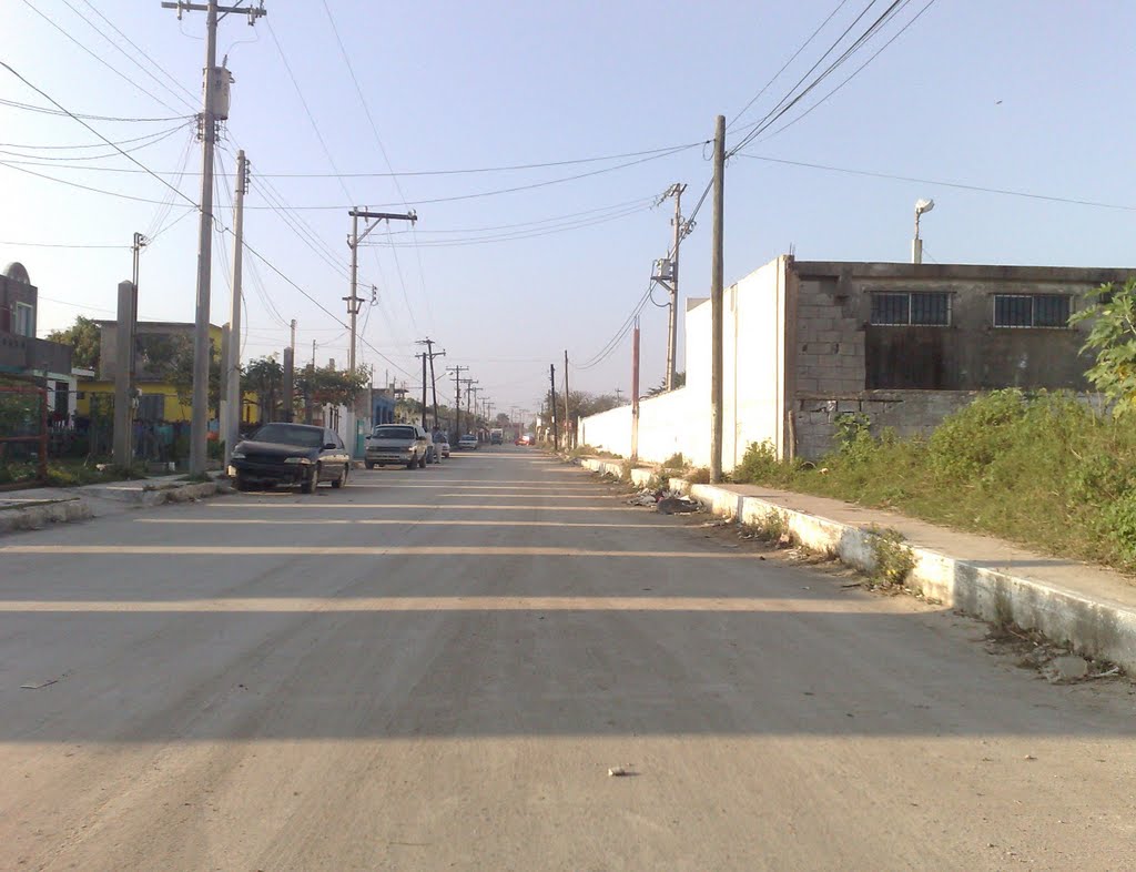 Calle primera