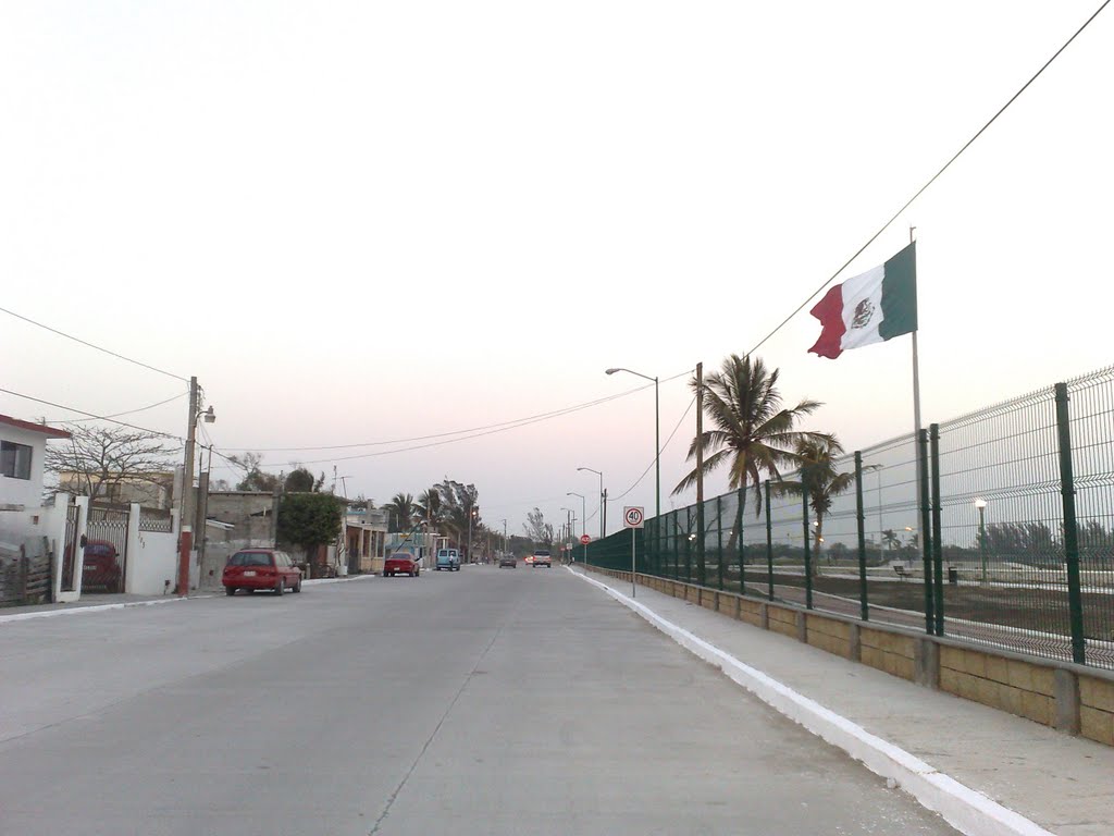 Calle a un lado del parque bicentenario