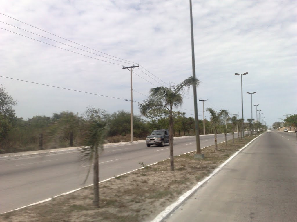 Avenida doctor Rodolfo Torre Cantú