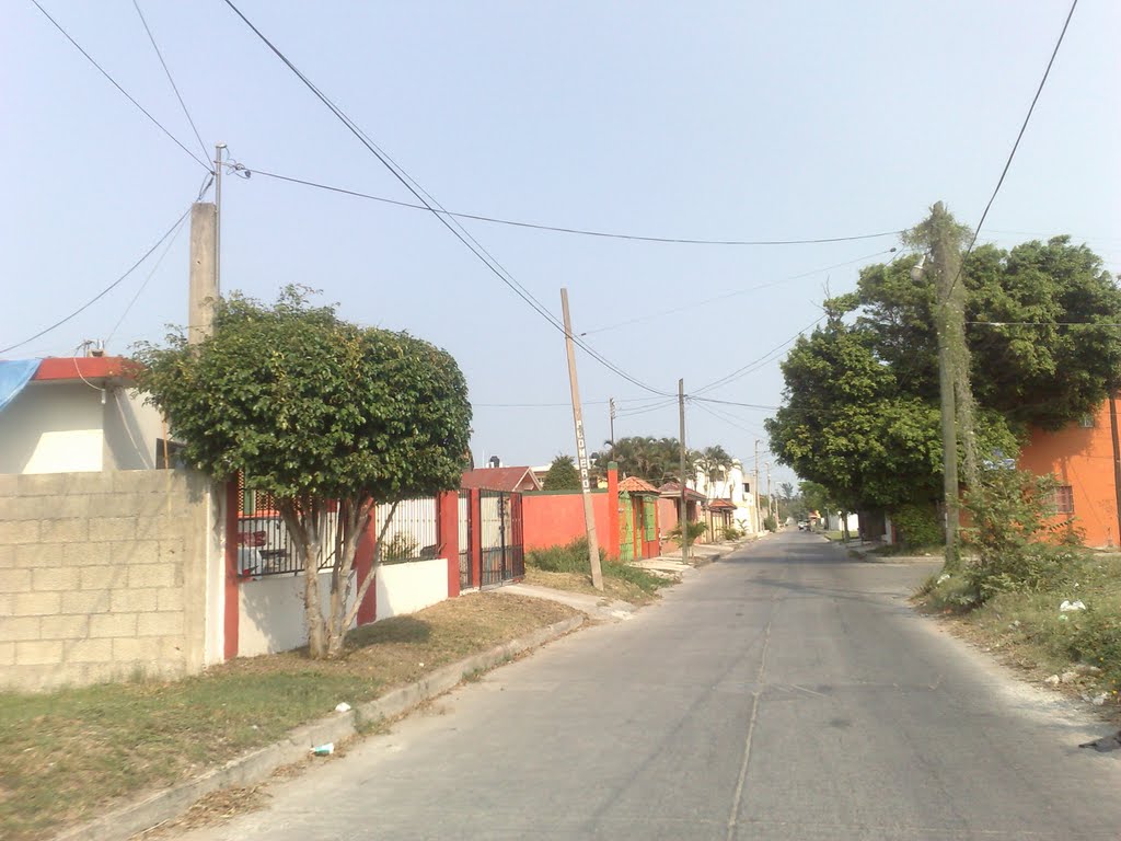 Calle Francisco Sarabia