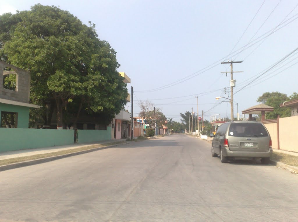 Calle 19