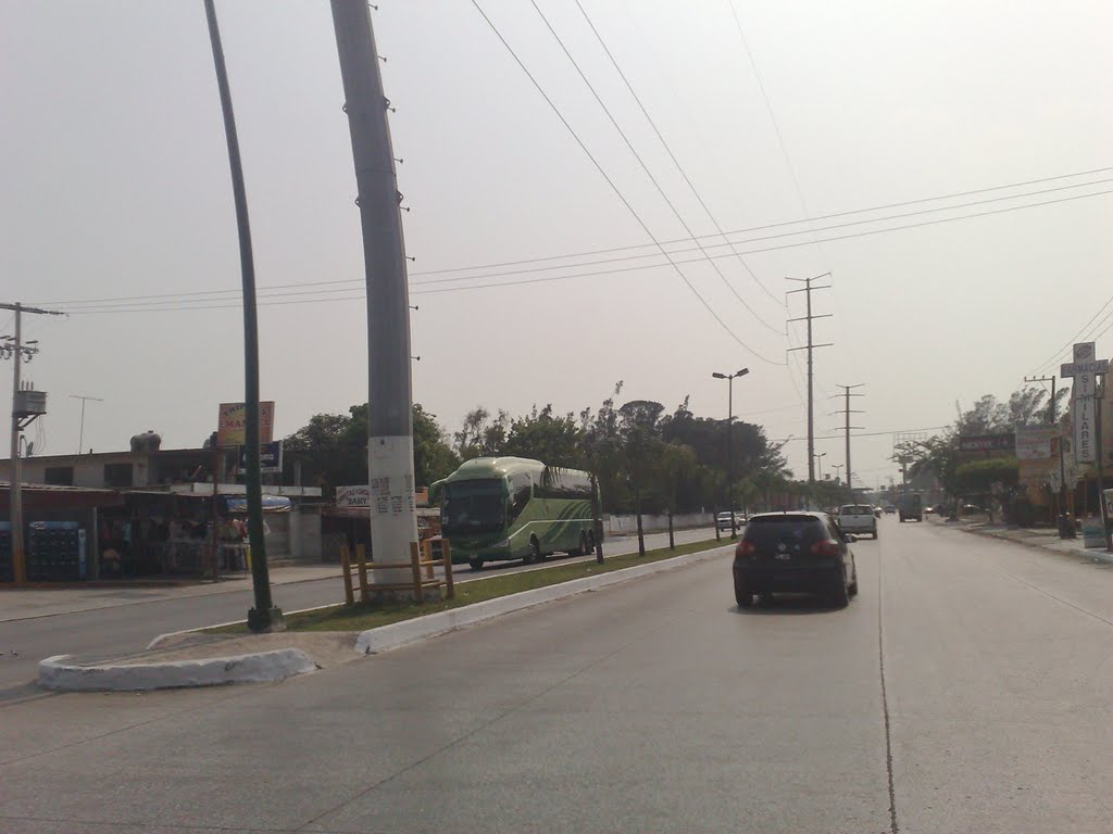 Avenida Rodolfo Torre Cantú