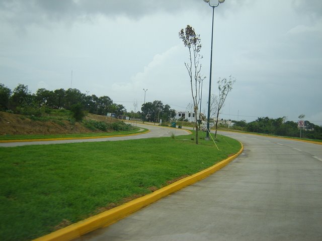 Diagonal Sur - Norte