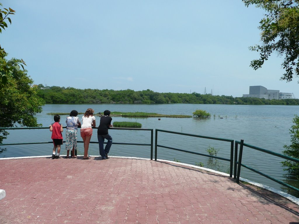 MIRADOR DE COCODRILOS
