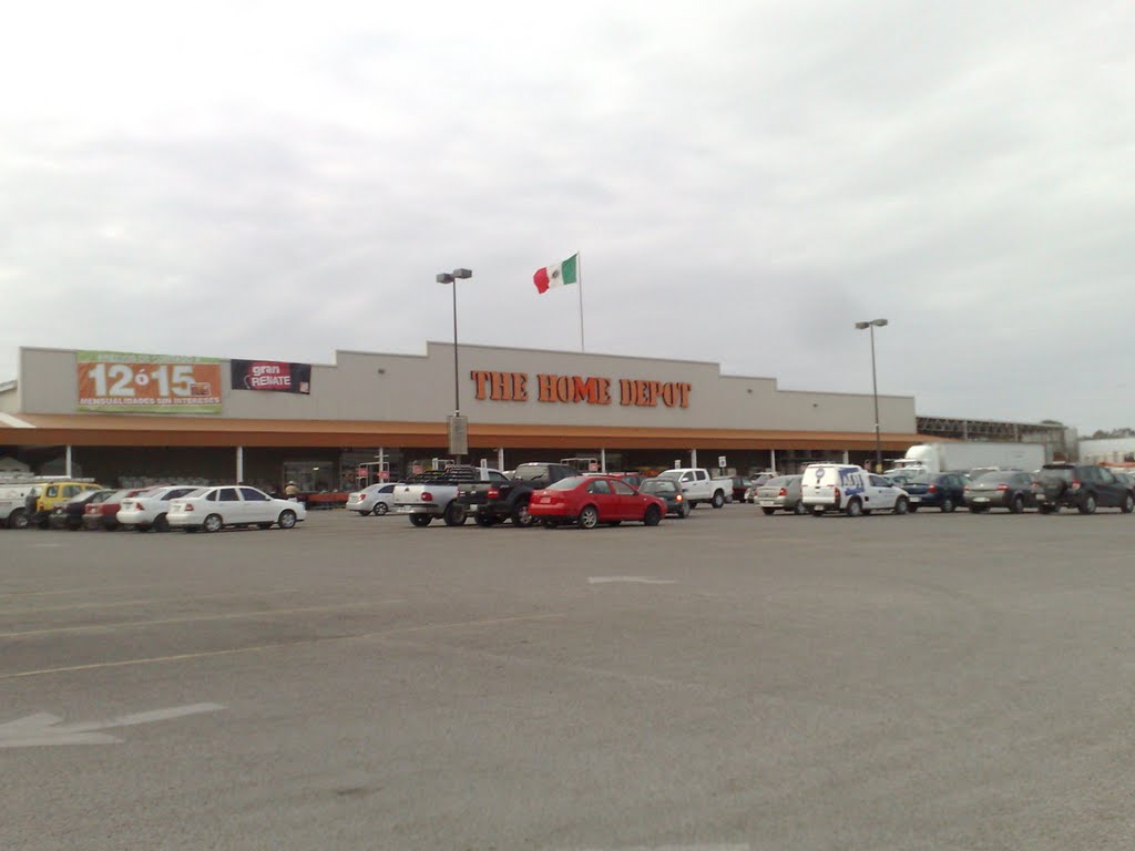 Home depot - Tampico