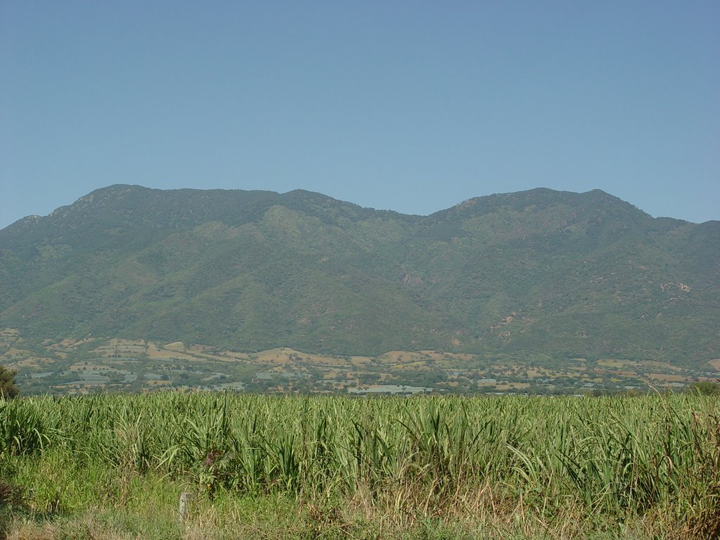 Cerro De Ameca