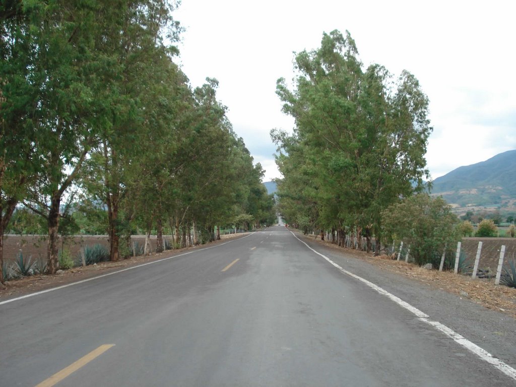 carretera ameca ahualulco