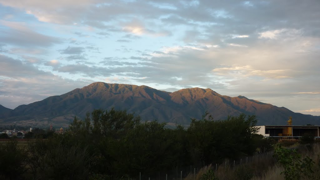 Cerro de Ameca
