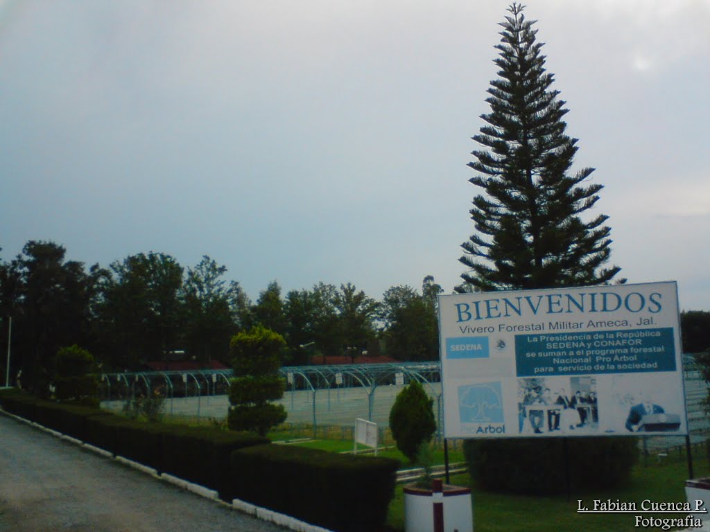 Vivero Forestal Militar