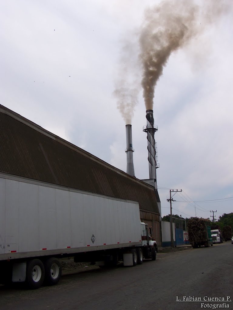 Contaminación En Ameca