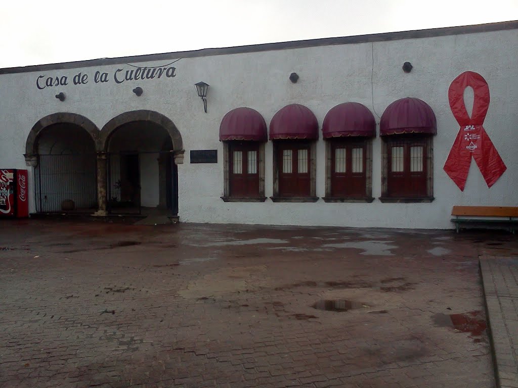 Casa de la Cultura de Ameca 311212