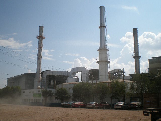 ingenio de Ameca