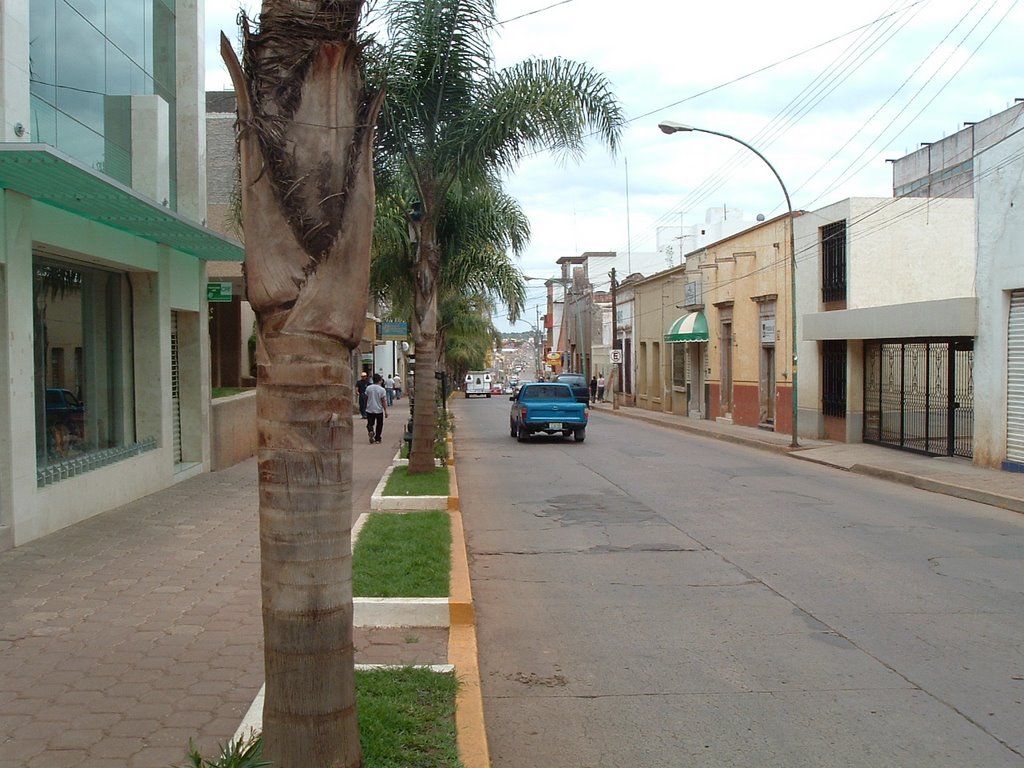 CalleObregon