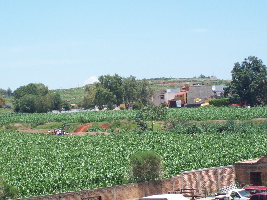 "Los Paderones" y "El Cerro de Mexiquito"