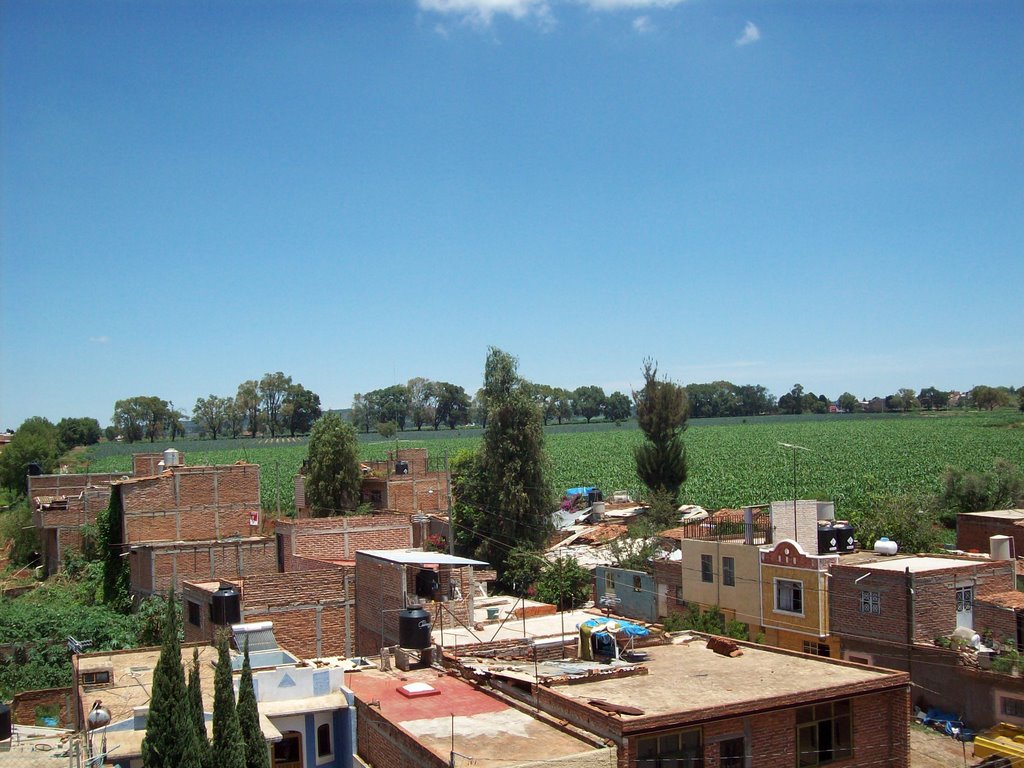 Vista De Los 30 Fresnos