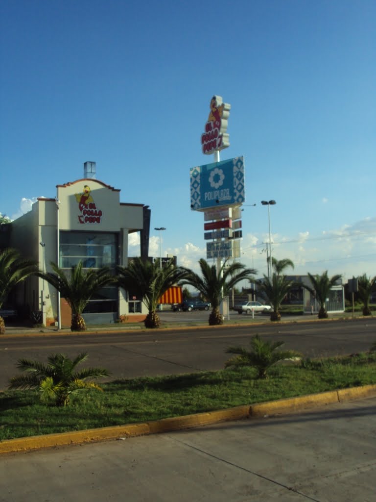 Entrada Arandas