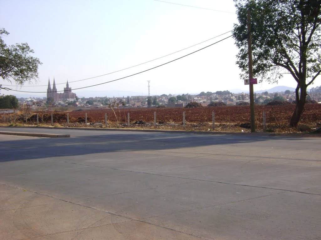 VISTA DE ARANDAS DESDE LOS 30 FRSNOS